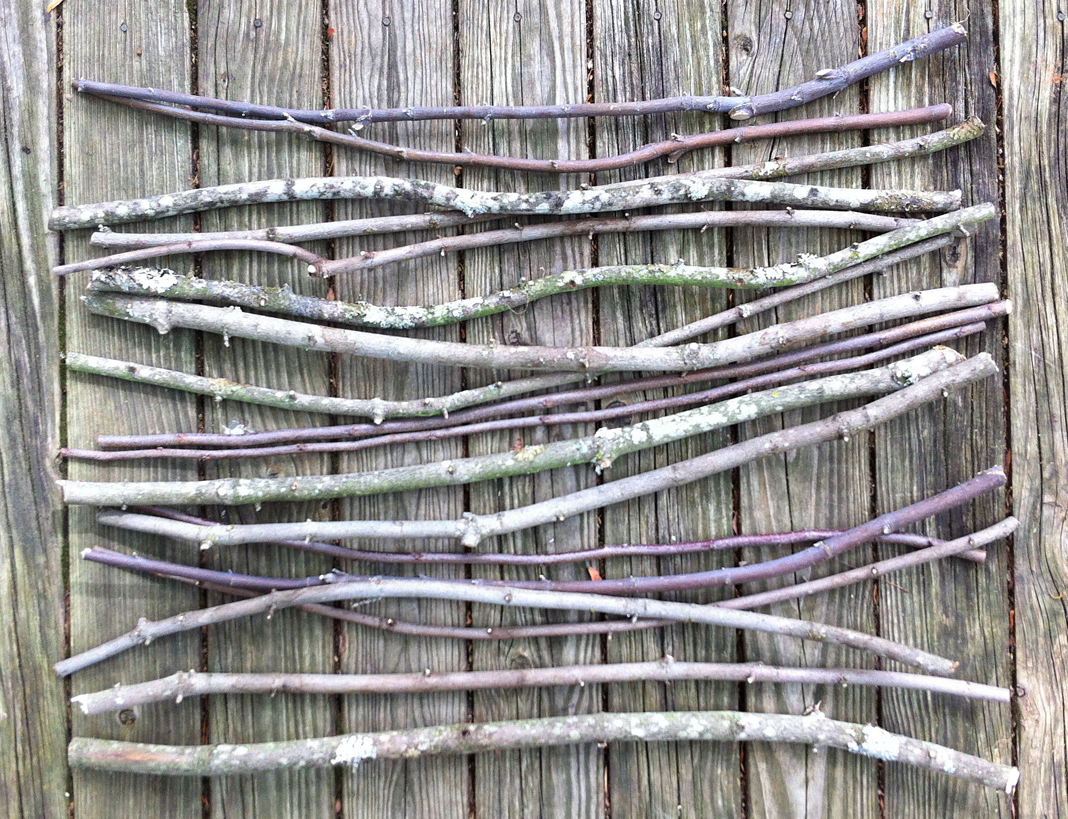 Extra Long Wood Tree Branches for Arts, Crafts, Home Decor, Up to 3 Feet  Long x 1 Inch Thick